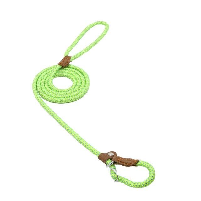 Nylon Pup Set Green M