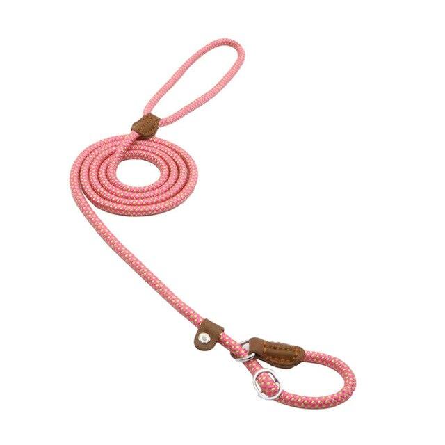 Nylon Pup Set Pink M